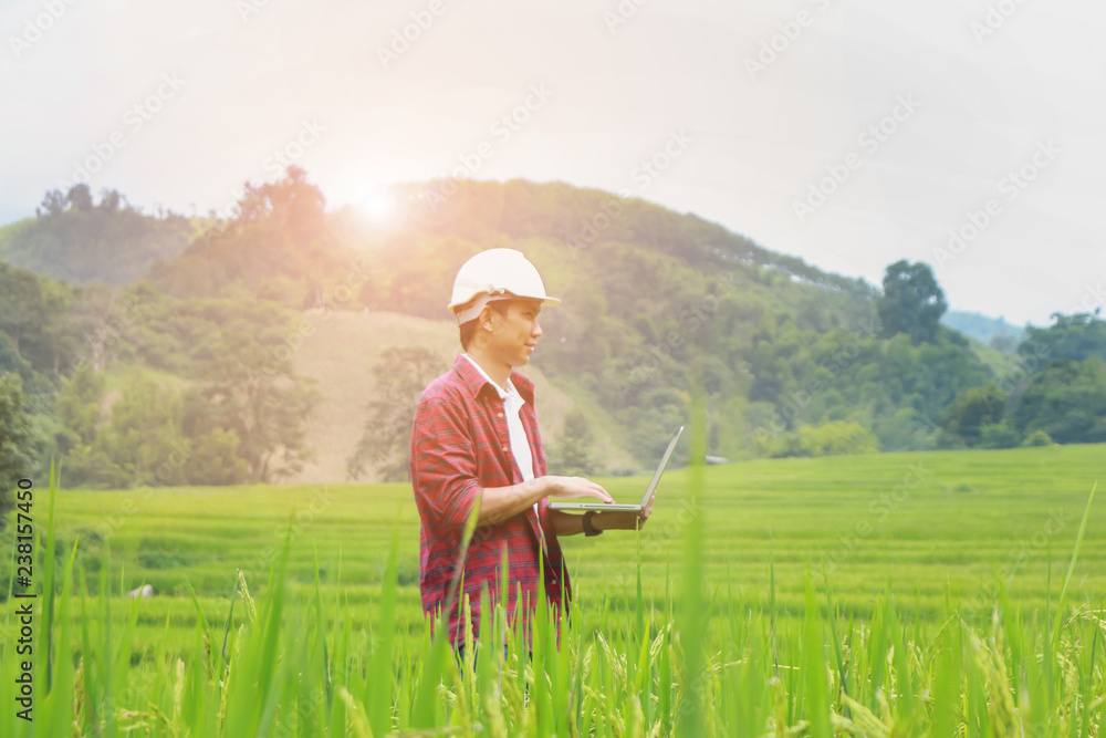 Smart Farming.Management Information System using technologies in agriculture.farmer with laptop computer in field using apps and internet of things(IOT) in production and agricultural research