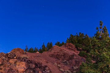 Wall Mural - Starry night landscape in Tenerife, Canary island, Spain