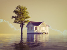 The House And The Tree Flooding The Water.