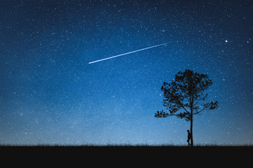 Wall Mural - silhouette of man standing on mountain and night sky with shooting star. alone concept.