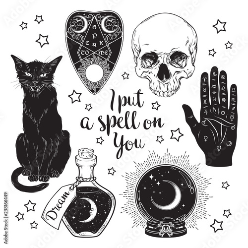 Cuadros en Lienzo Magic set - planchette, skull, palmistry hand, crystal ball, bottle and black cat hand drawn art isolated