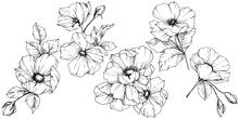 Vector Rosa Canina Flower. Black And White Engraved Ink Art. Isolated Rosa Canina Illustration Element.