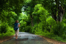 Woman Hiker With Backpack Stands On The Road And Watches Lush Green Foliage Of The Tropical Trees