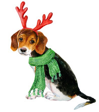Beagle Dog With Christmas Deer Antlers And Scarf. Illustration Watercolor