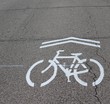 © Al - The white painted bike icon on the road and a close view.