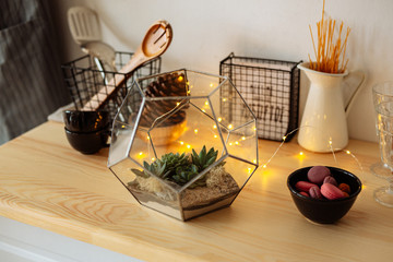 Wall Mural - Decorative houseplants. Florarium with fresh flowers on the table in the kitchen decorated for Christmas.