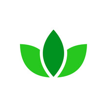 Three Leaves Logo, Icon. Symbol Of Organic, Nature. Vector Illustration.
