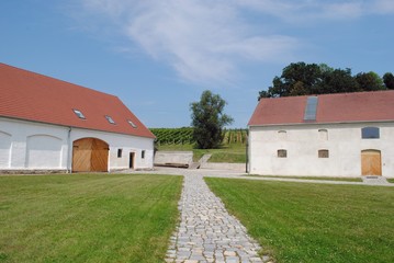 Wineyards in the Polish city Paczkov in the south-east of the country