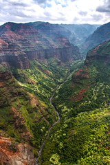 Wall Mural - Aeial View over the Garden Island Kauai in Hawaii, USA