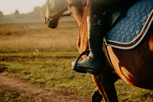 Young Woman Horseriding In Sunset On The Fields. Close Up