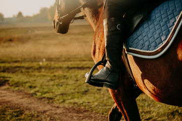 Young woman horseriding in sunset on the fields. Close up