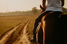 Young Woman Horseriding In Sunset On The Fields. Close Up