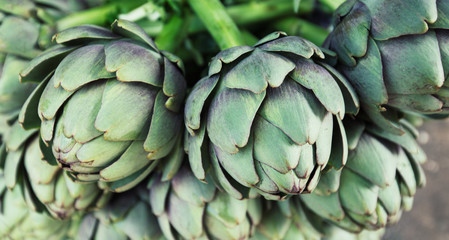 artichoke