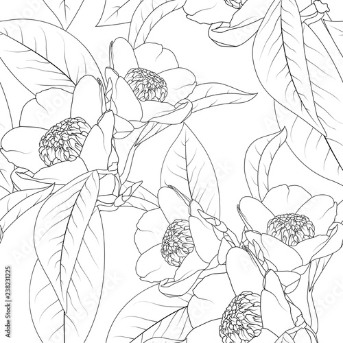 Dekoracja na wymiar  bukiet-kwiatow-kamelii-z-lisci-projekt-linii-rysunku-tekstura-kwiatowy-wzor-naturalny