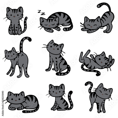 Cuadros en Lienzo Vector Illustration of Gray Tabby Cats