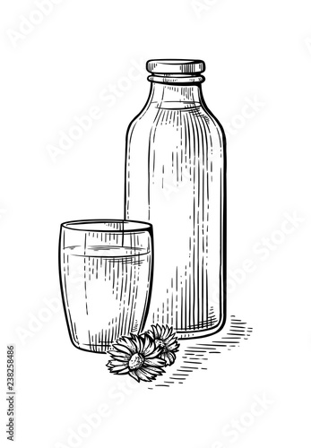 Healthy Breakfast Drawing Sketch Glass Milk Bottle Cup Vector Illustration Stock Vector Adobe Stock
