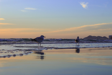 view of the beach