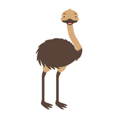 Sticker - emu australian fauna on withe background