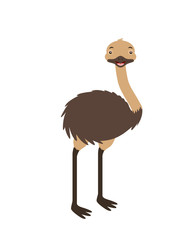 Poster - emu fauna on white background