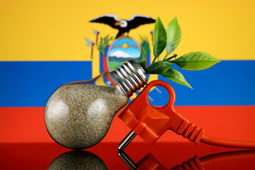 Plug, plant growing inside the light bulb and Ecuador Flag. Green eco renewable energy concept.