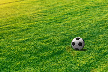 Sunny soccer field with football ball. 