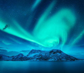 Wall Mural - aurora borealis above the snow covered mountain in lofoten islands, norway. northern lights in winte