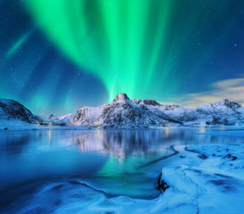 Wall Mural - aurora borealis over snowy mountains, frozen sea coast and reflection in water in lofoten islands, n