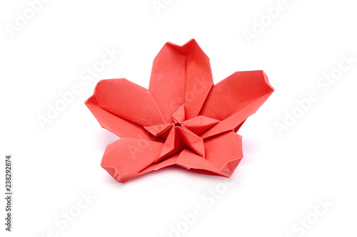 Origami Japanese Sakura Flowers Isolated On White