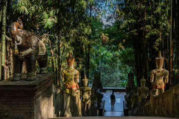 Buddhist statues and staircase in the jungle