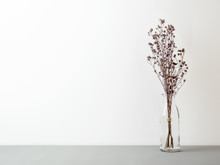 Bouquet Of Dried And Wilted Brown Gypsophila Flowers In Glass Bottle On Gray Floor And White Background With Copy Space