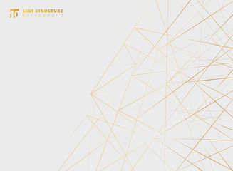 Wall Mural - abstract overlap gold lines structure on white background.