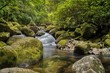 © tristanbnz - Small cascading waterfall on the Wairere Falls Trail
