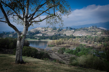 Sticker - landscape of  a lake 