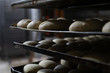Backbleche voll mit Brötchen Rohlingen warten aufs backen in der Bäckerei - Variante 2