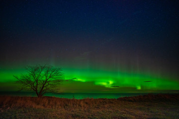 beautiful display of aurora borealis or northern lights.