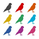 Fototapeta Dinusie - Parrot icon or logo, color set