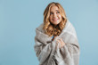 Image of gorgeous woman 20s wrapped in blanket looking at camera, isolated over blue background