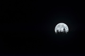 Wall Mural - Supermoon at night