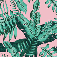 tropical leaf illustration