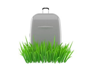 Wall Mural - Suitcase on grass