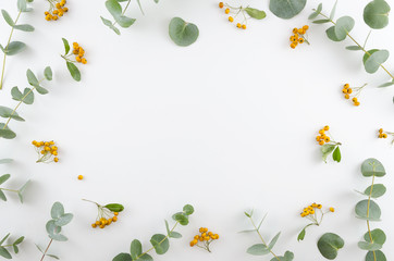 Spring flowers composition. Rectangular frame made of yellow rowan berries and gree eucalyptus branches on white background. Flat lay, top view, copy space.