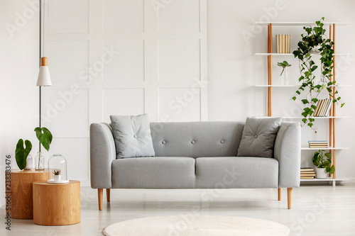 Two Round Coffee Tables With Plants In Glass Vases Next To Grey Scandinavian Sofa Elegant Living Room Wooden Bookshelf Books An Pots Stock Photo Adobe - Next Coffee Tables Round Two Round Coffee Tables With Plants In Glass Vases Next To Grey Scandinavian Sofa Elegant Living Room Wooden Bookshelf Books An Pots Stock Photo Adobe - Next Coffee Tables Round