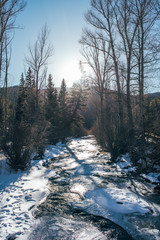 Wall Mural - winter landscape with river and trees