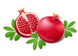 Ripe juicy pomegranate. Cuted Fruit with green leaves.