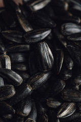 Background of sunflower seeds