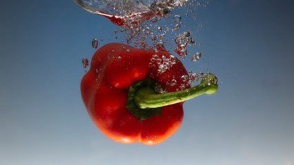 Wall Mural - fresh water splash on red sweet pepper on blue background