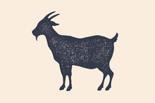 Goat. Vintage Logo, Retro Print, Poster For Butchery