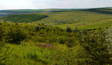 Fototapeta  - view of landscape