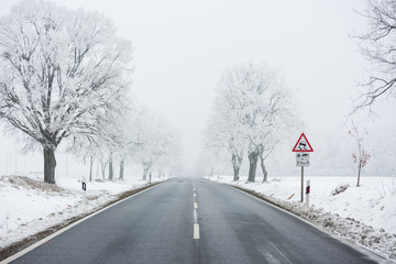 dangerous winter road