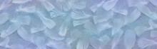 Angelic Blue Feather Background Banner - Random Scattered White Feathers Against A Rustic Fibre Paper Background With Blue Hues
